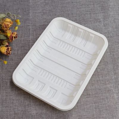 Biodegradable Sealed Meat Cornstarch Perlengkapan Meja Piring Makanan Beku 150mm