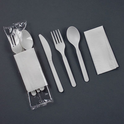 6 inci Biodegradable Cornstarch Pakaian Meja Terbungkus Secara Individual Set Piring Sekali pakai