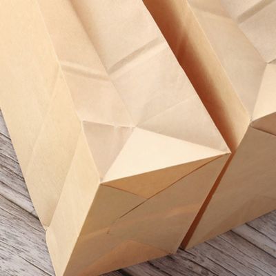 Kraft Biodegradable Disposable Tableware Candy Paper Bag Tanpa Gagang BSCI