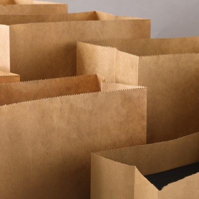 Kraft Biodegradable Disposable Tableware Candy Paper Bag Tanpa Gagang BSCI