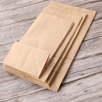 Kraft Biodegradable Disposable Tableware Candy Paper Bag Tanpa Gagang BSCI