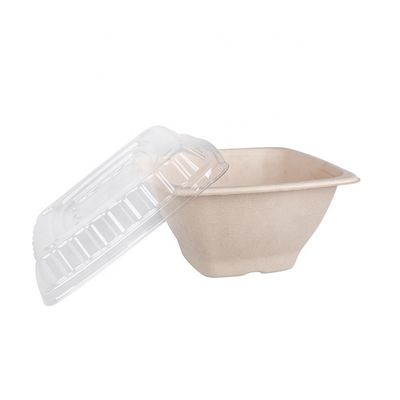 16 24 32oz Mangkuk Bagas Tebu Biodegradable Wadah Salad Buah Kotak dengan Tutup