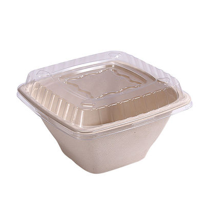 16 24 32oz Mangkuk Bagas Tebu Biodegradable Wadah Salad Buah Kotak dengan Tutup