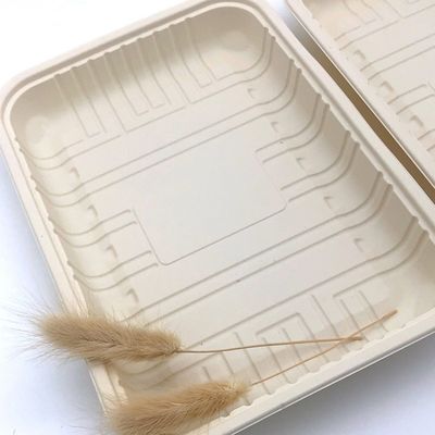 Biodegradable Sealed Meat Cornstarch Perlengkapan Meja Piring Makanan Beku 150mm