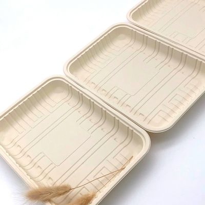 Biodegradable Sealed Meat Cornstarch Perlengkapan Meja Piring Makanan Beku 150mm