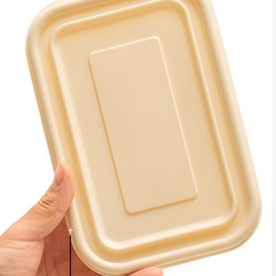 500 600ML Satu Kali Pakai Kompostable Cornstarch Meal Lunch Box Fast Food Packaging Box