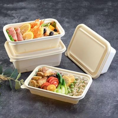 500 600ML Satu Kali Pakai Kompostable Cornstarch Meal Lunch Box Fast Food Packaging Box