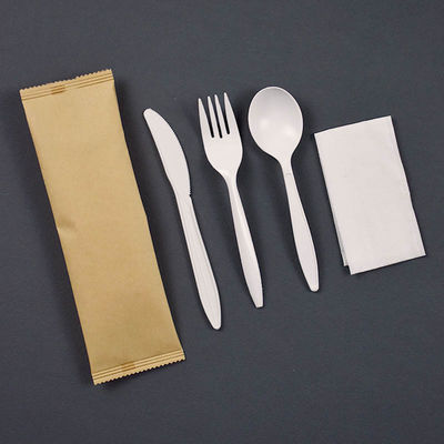 6 inci Biodegradable Cornstarch Pakaian Meja Terbungkus Secara Individual Set Piring Sekali pakai